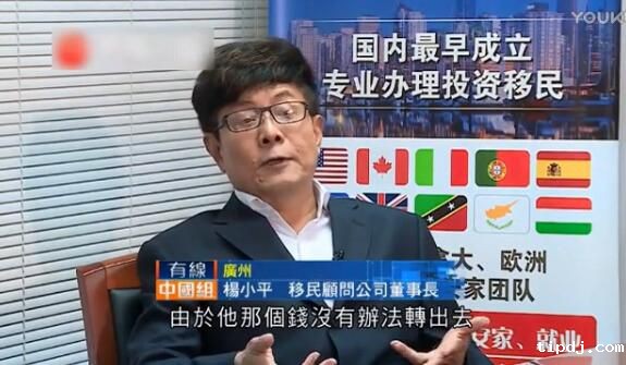 电视台专访：杨小平谈央行换汇新规