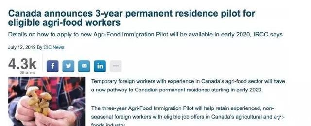 加拿大发布最新移民计划--农业食品移民试点，一年快速拿枫叶卡