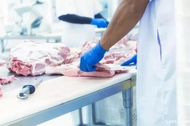 加拿大发布最新移民计划--农业食品移民试点，一年快速拿枫叶卡