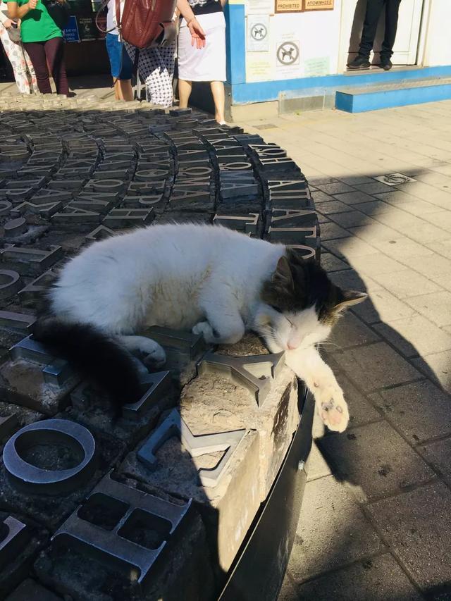 塞浦路斯考察实录 