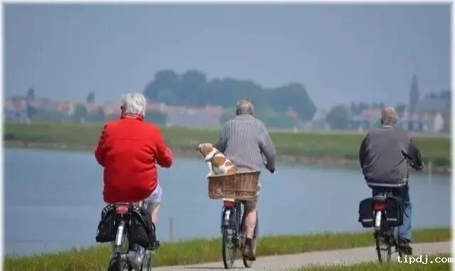 欧盟要求成员国收紧“黄金签证”,欧洲移民项目该如何挑选？