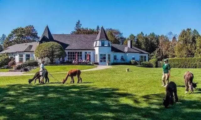 NB省企业家移民竟如此火爆？无需工签直接拿枫叶卡是真的牛