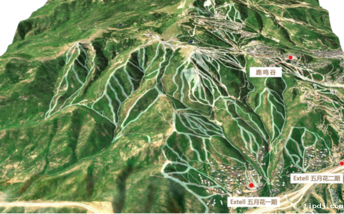 五月花与鹿鸣谷