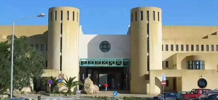 马耳他国际学校