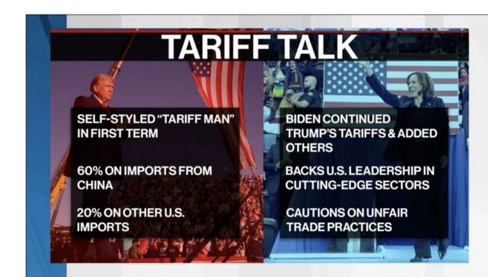 经济及对外政策进行了分析和对比