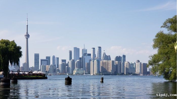 加拿大多伦多 加拿大多伦多