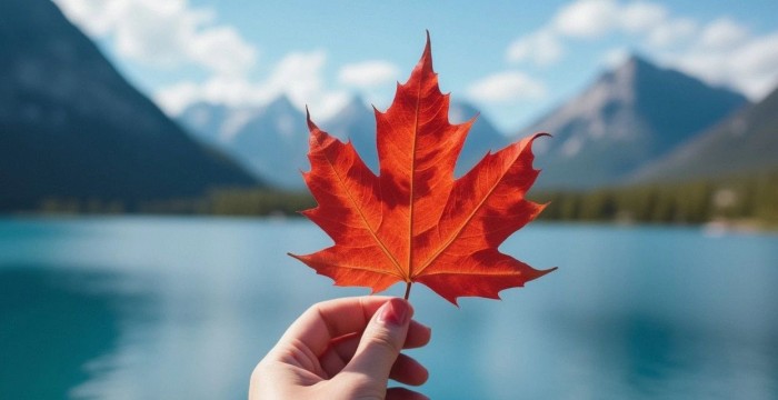 加拿大枫叶