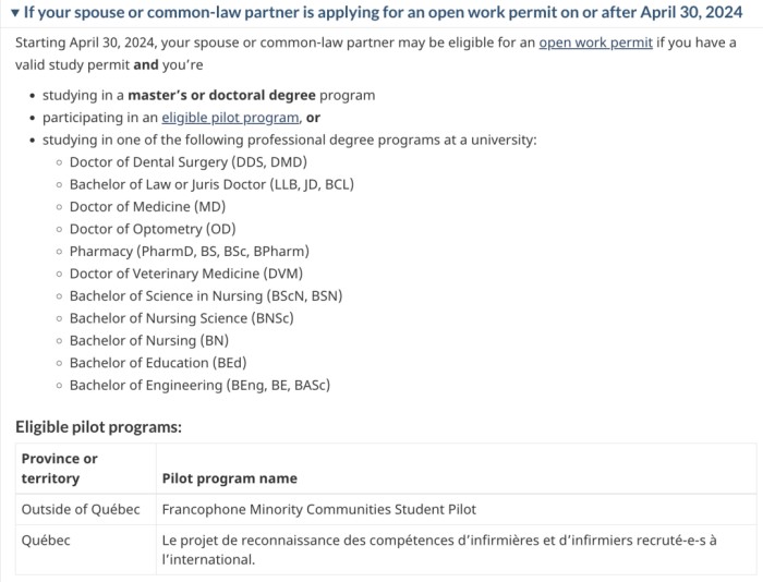 国际学生配偶工签申请条件
