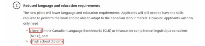 语言和学历要求通通降低