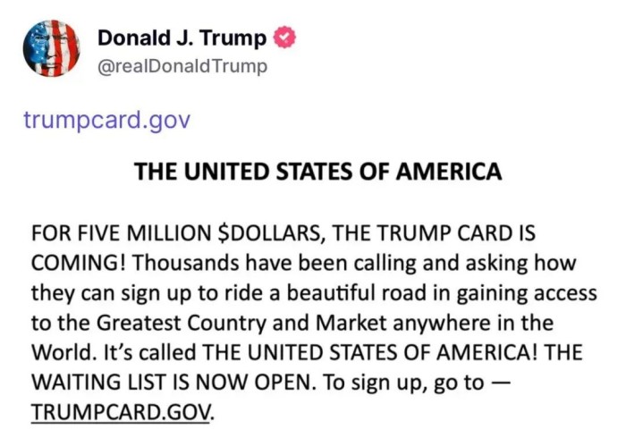 特朗普金卡网站上线