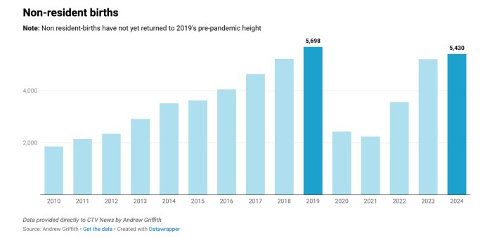 非居民自费分娩